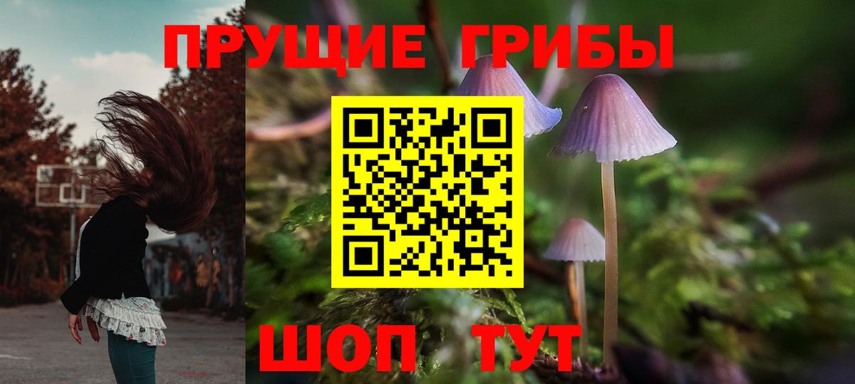 Тавда  Псилоцибиновые грибы Psilocybine cubensis  Вход с VPN 